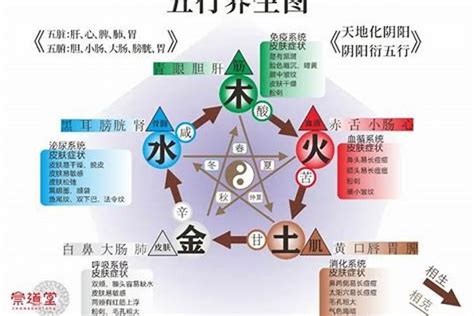 五行欠金水|五行缺水会怎么样 命里缺水的人应该怎么办